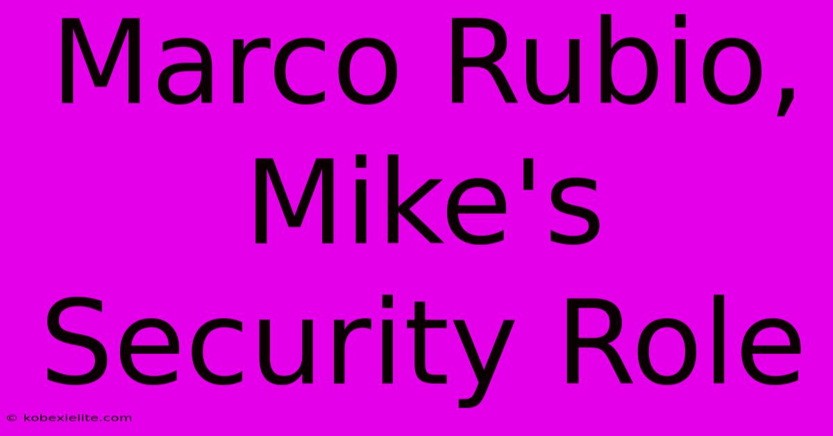 Marco Rubio, Mike's Security Role