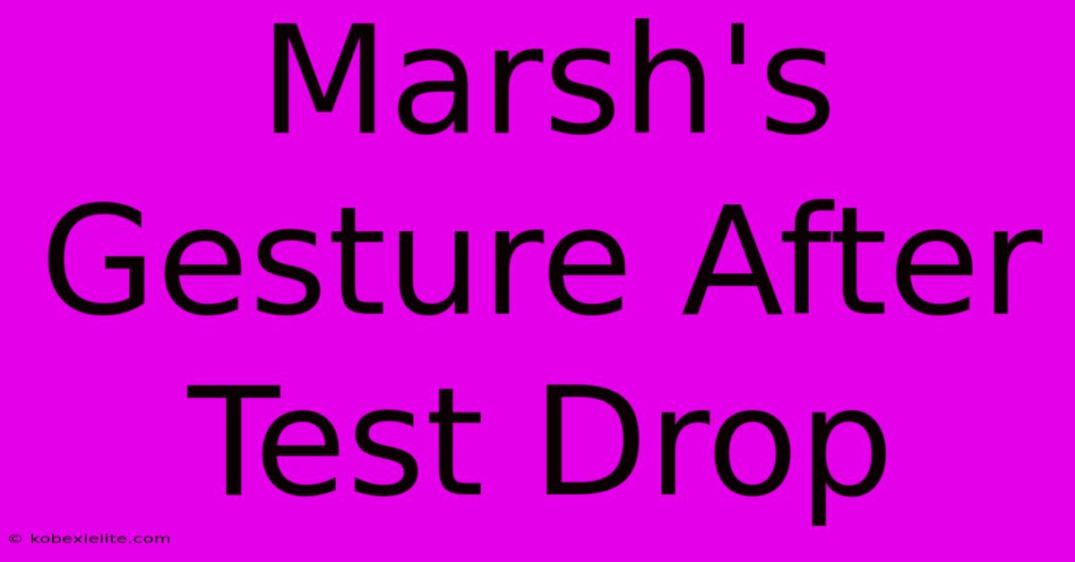 Marsh's Gesture After Test Drop