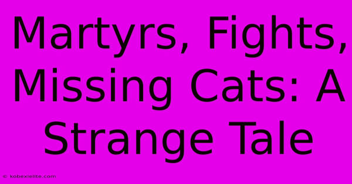 Martyrs, Fights, Missing Cats: A Strange Tale