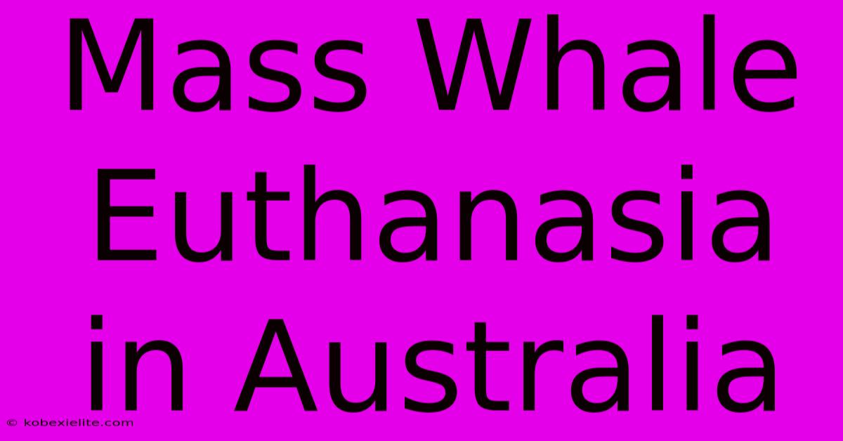 Mass Whale Euthanasia In Australia