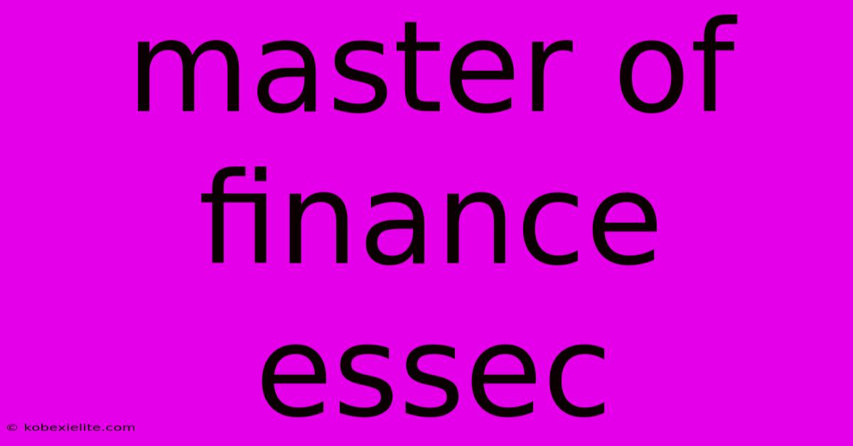 Master Of Finance Essec Master Of Finance Essec