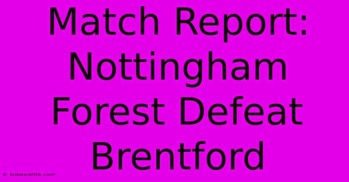 Match Report: Nottingham Forest Defeat Brentford 