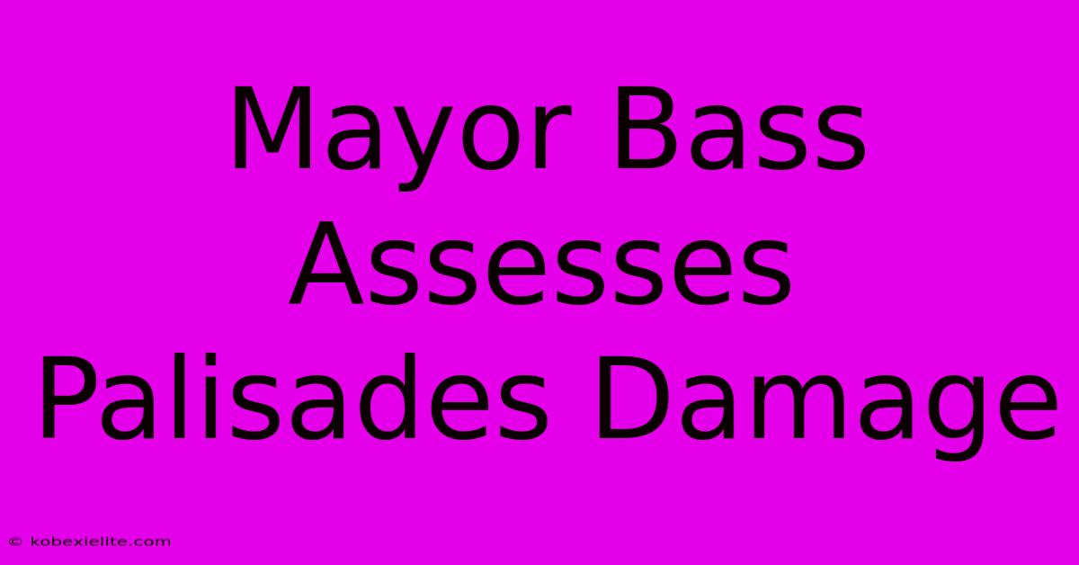 Mayor Bass Assesses Palisades Damage