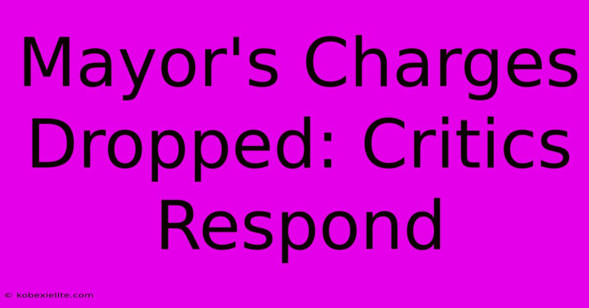 Mayor's Charges Dropped: Critics Respond