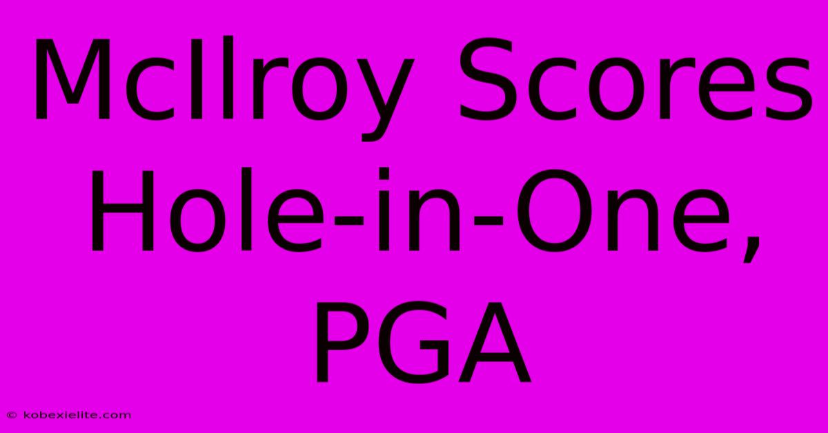 McIlroy Scores Hole-in-One, PGA