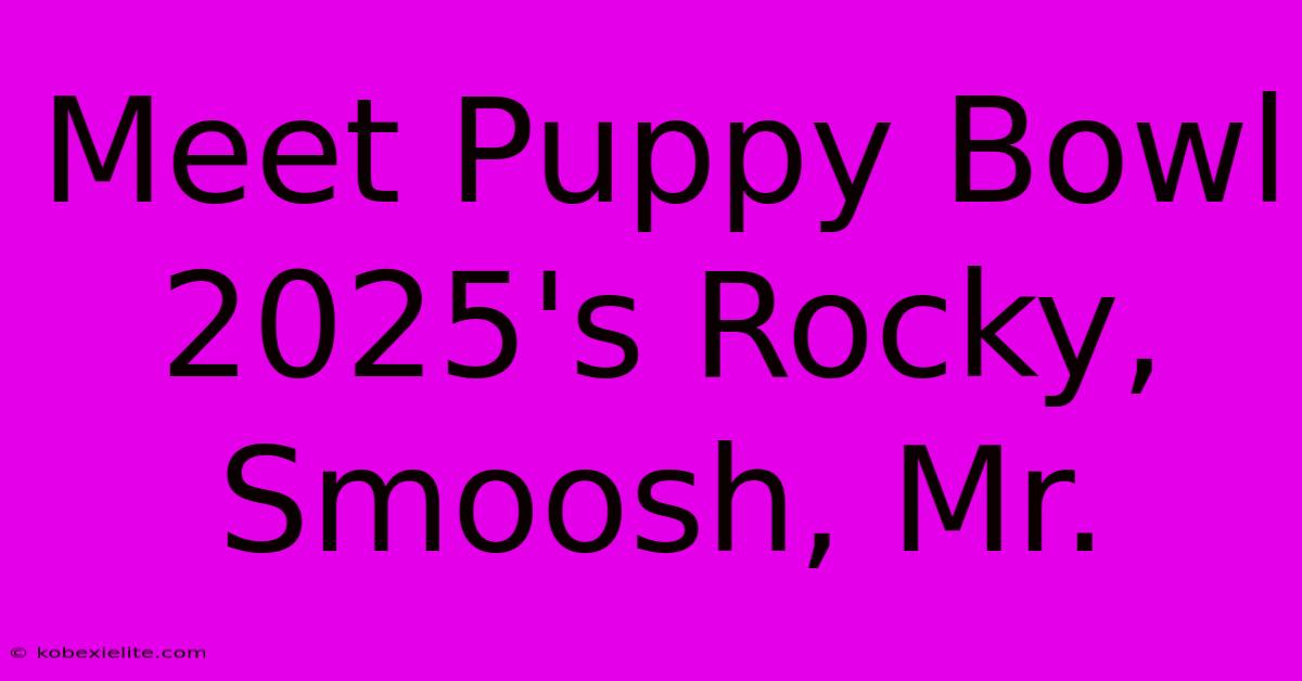 Meet Puppy Bowl 2025's Rocky, Smoosh, Mr.