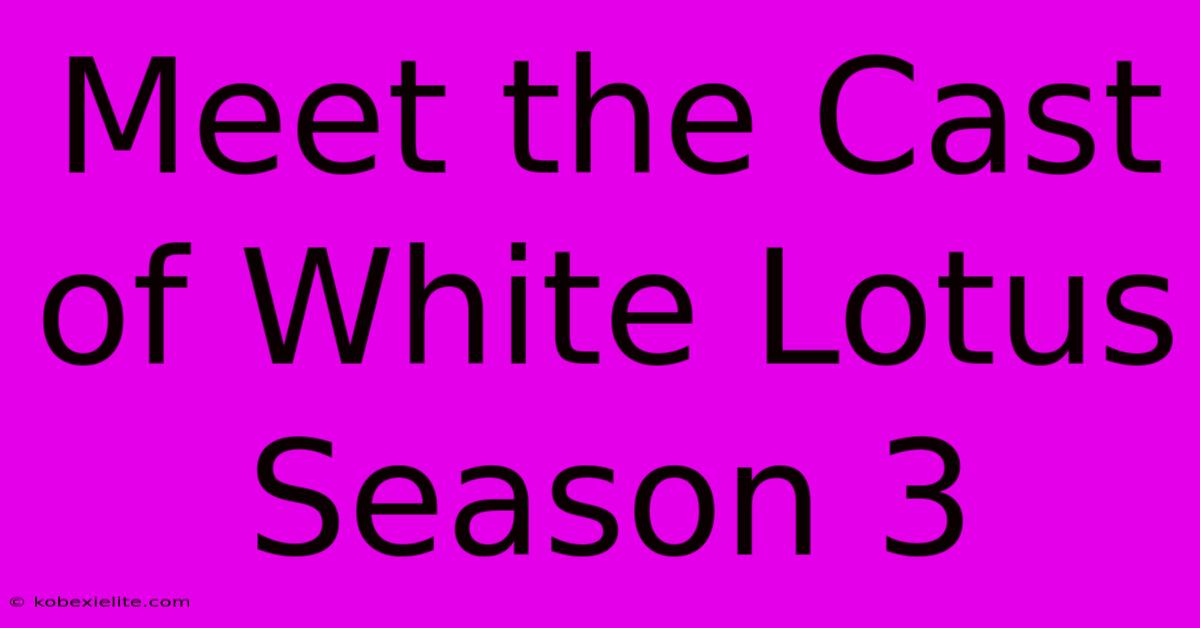 Meet The Cast Of White Lotus Season 3