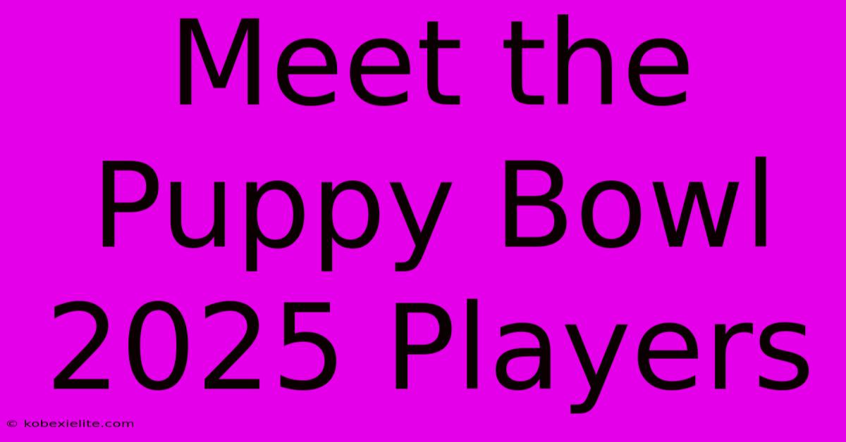 Meet The Puppy Bowl 2025 Players