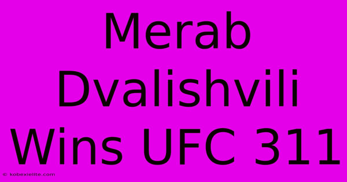 Merab Dvalishvili Wins UFC 311