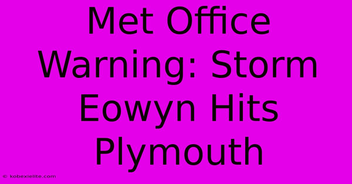 Met Office Warning: Storm Eowyn Hits Plymouth