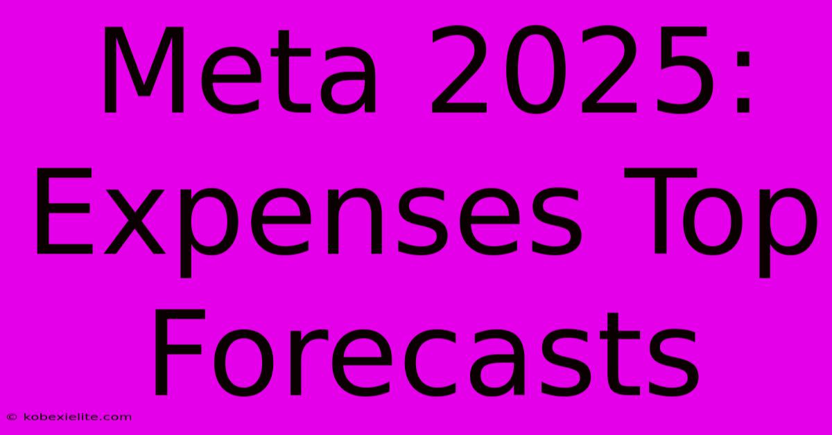 Meta 2025: Expenses Top Forecasts