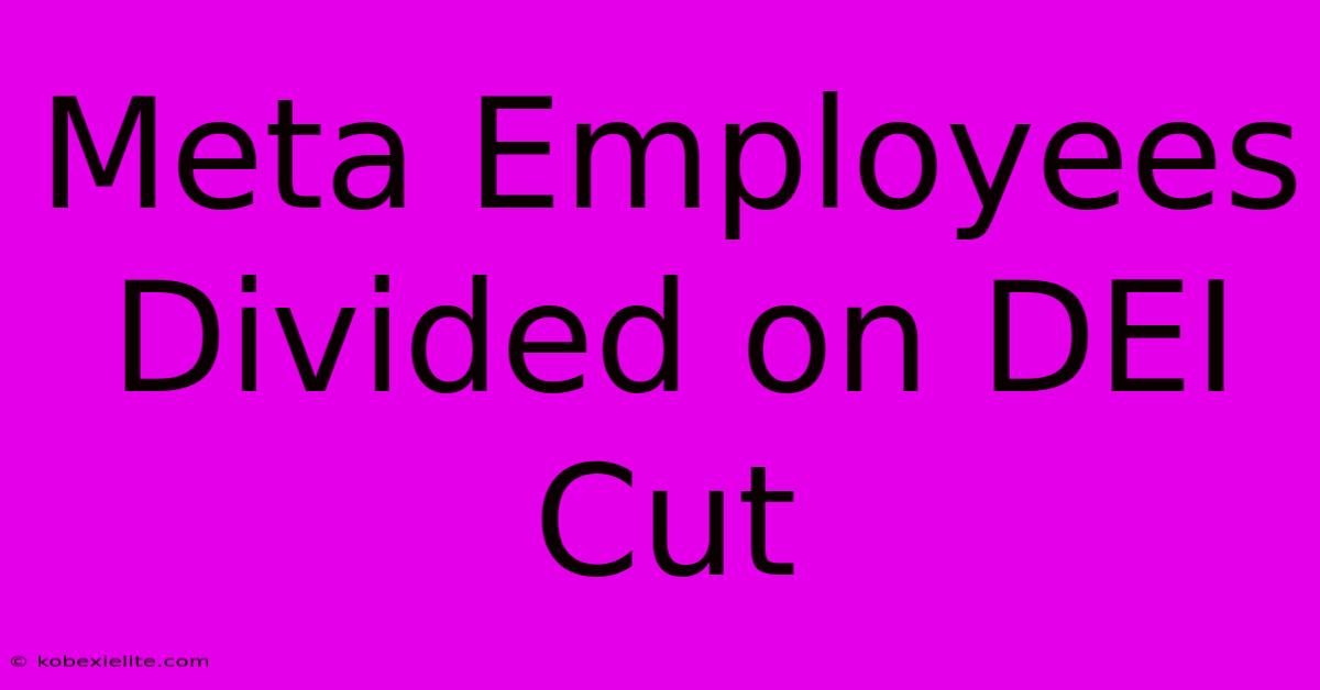 Meta Employees Divided On DEI Cut