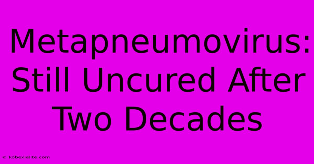 Metapneumovirus: Still Uncured After Two Decades