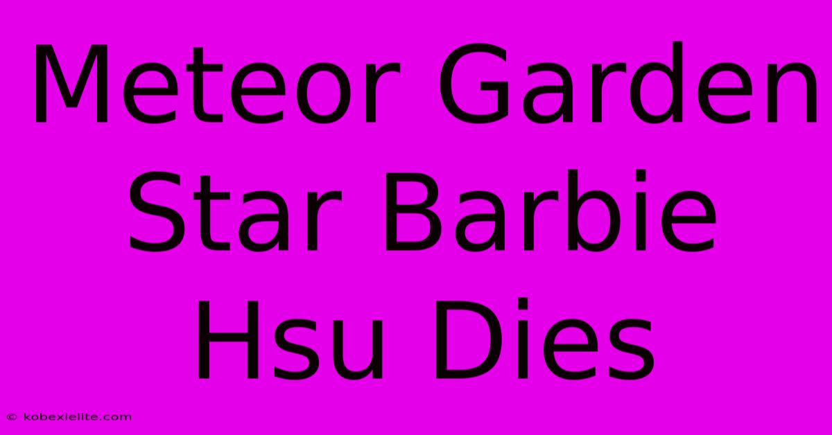 Meteor Garden Star Barbie Hsu Dies