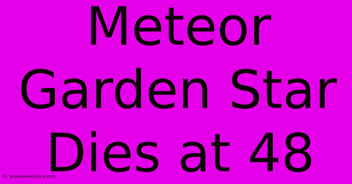 Meteor Garden Star Dies At 48