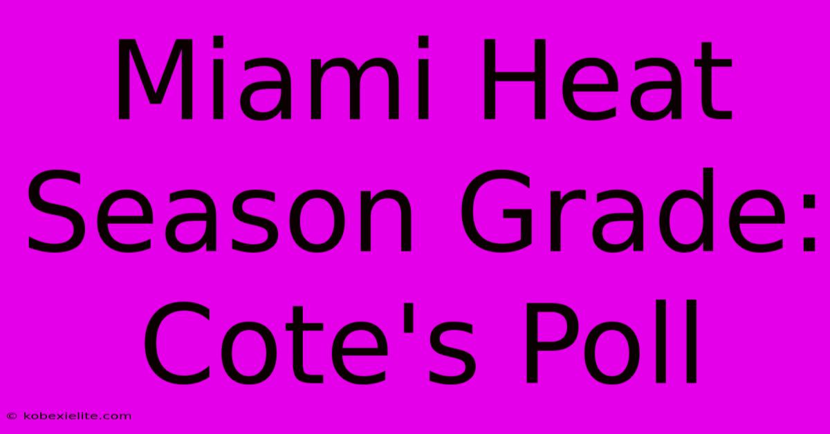 Miami Heat Season Grade: Cote's Poll