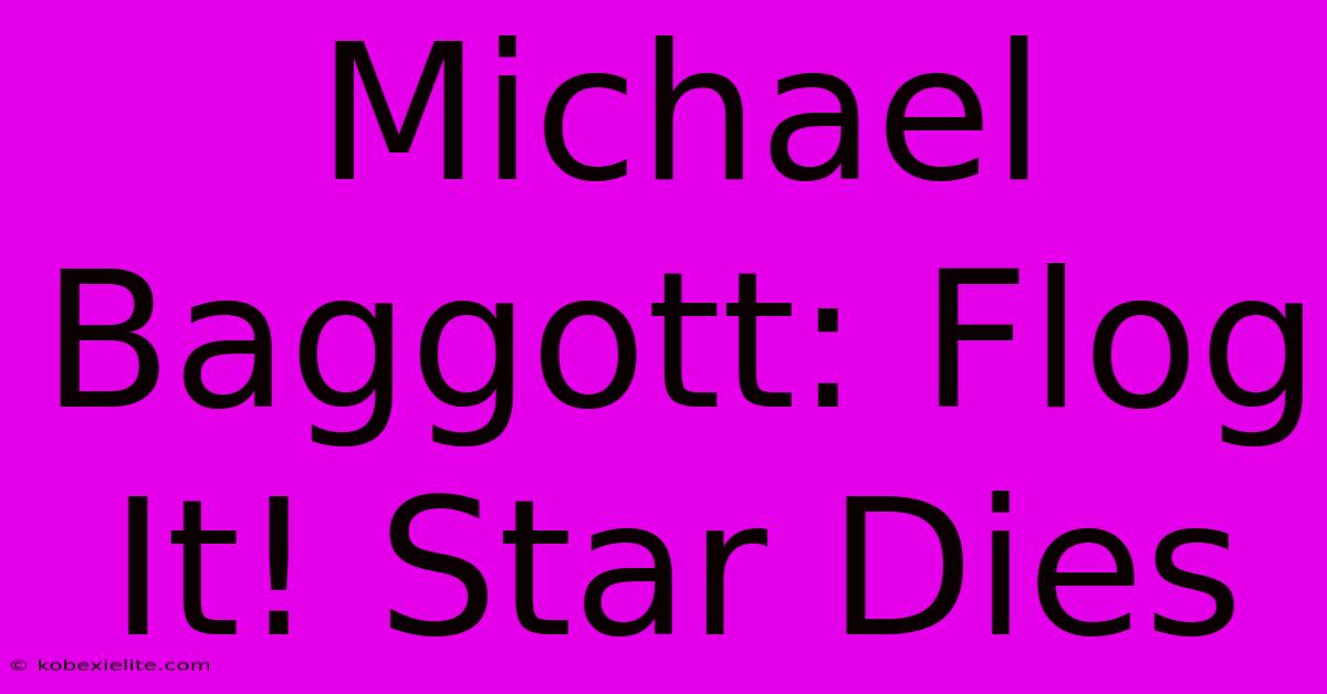 Michael Baggott: Flog It! Star Dies