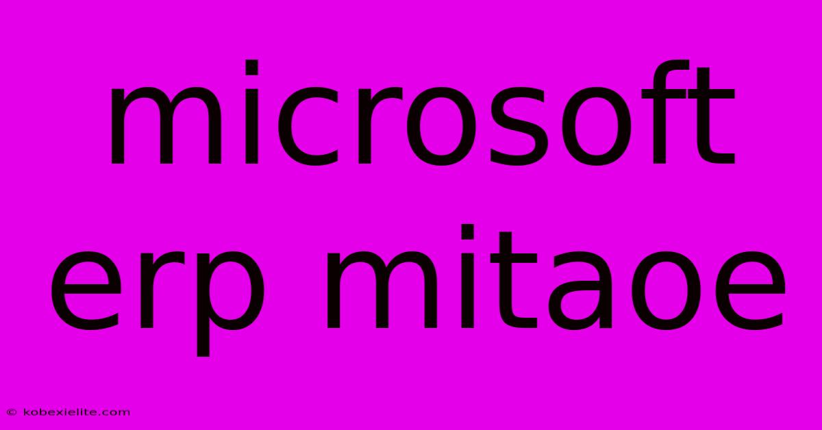 Microsoft Erp Mitaoe