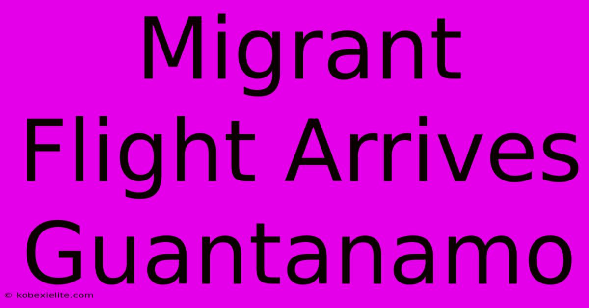 Migrant Flight Arrives Guantanamo