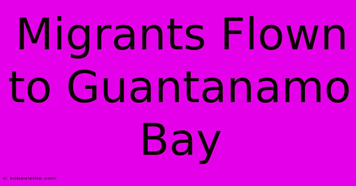 Migrants Flown To Guantanamo Bay