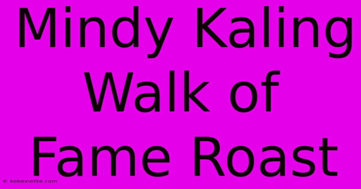 Mindy Kaling Walk Of Fame Roast