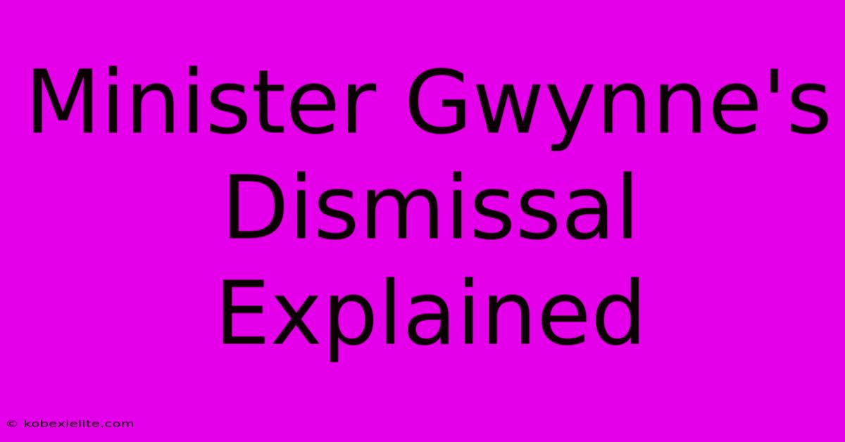 Minister Gwynne's Dismissal Explained