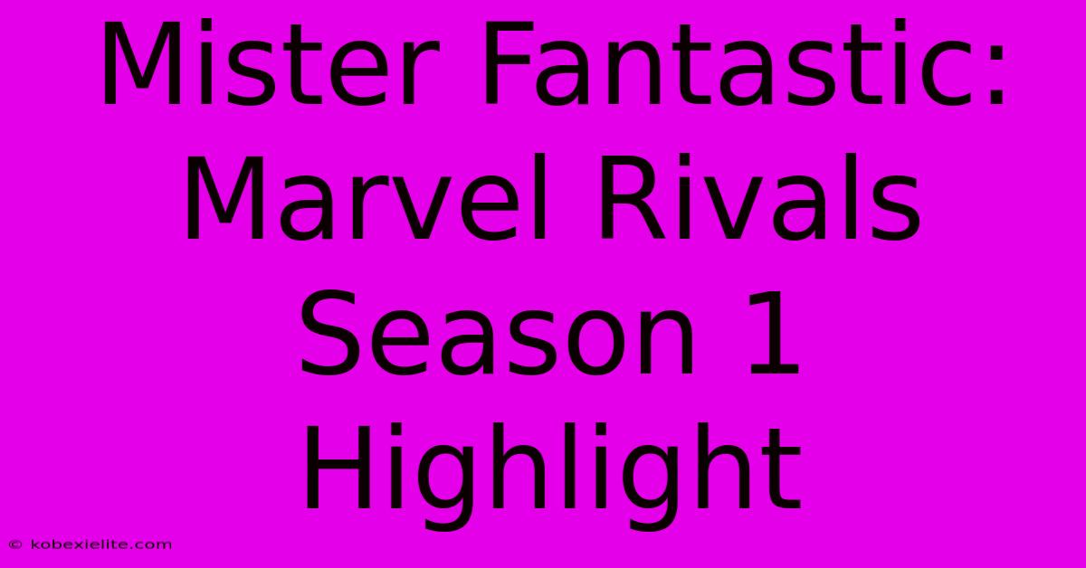 Mister Fantastic: Marvel Rivals Season 1 Highlight