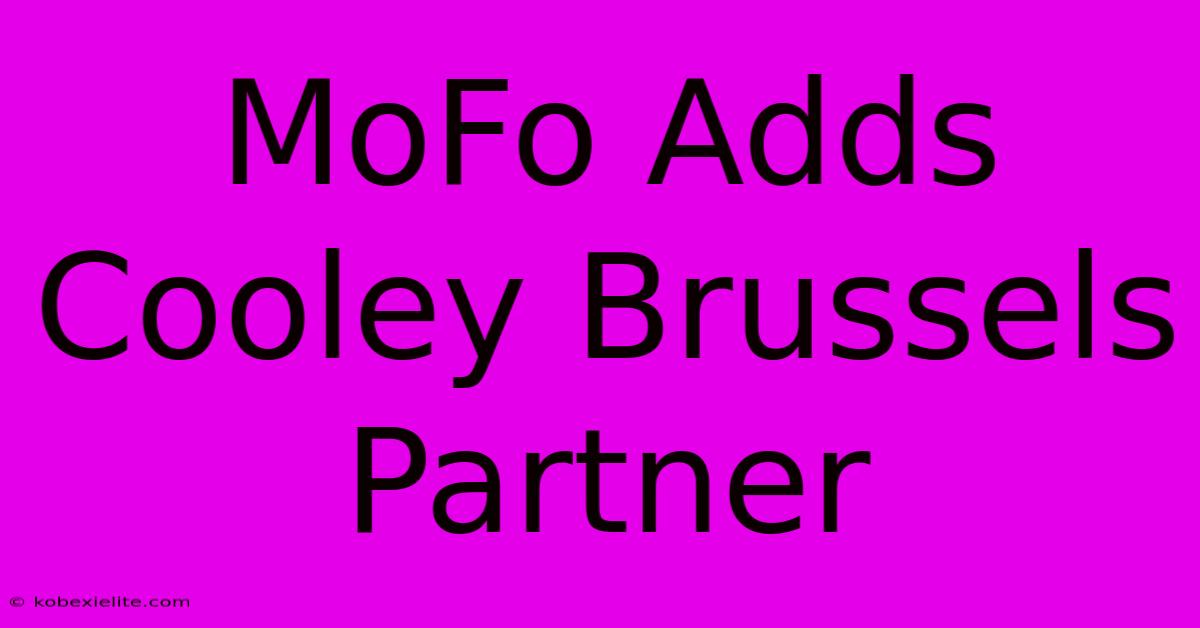 MoFo Adds Cooley Brussels Partner