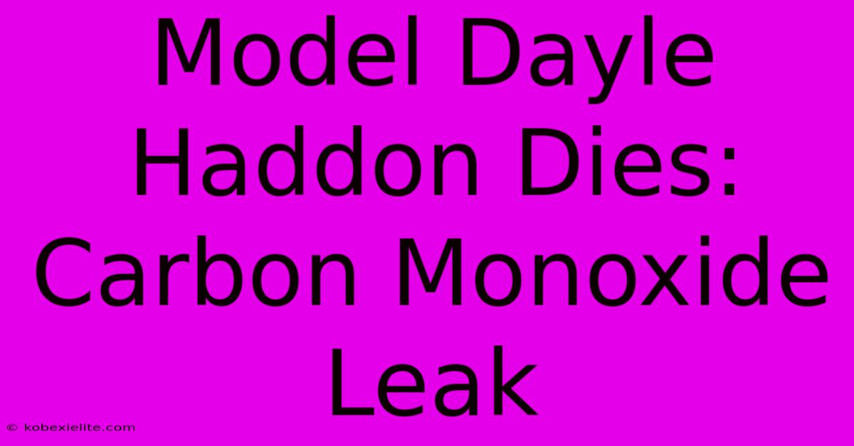 Model Dayle Haddon Dies: Carbon Monoxide Leak