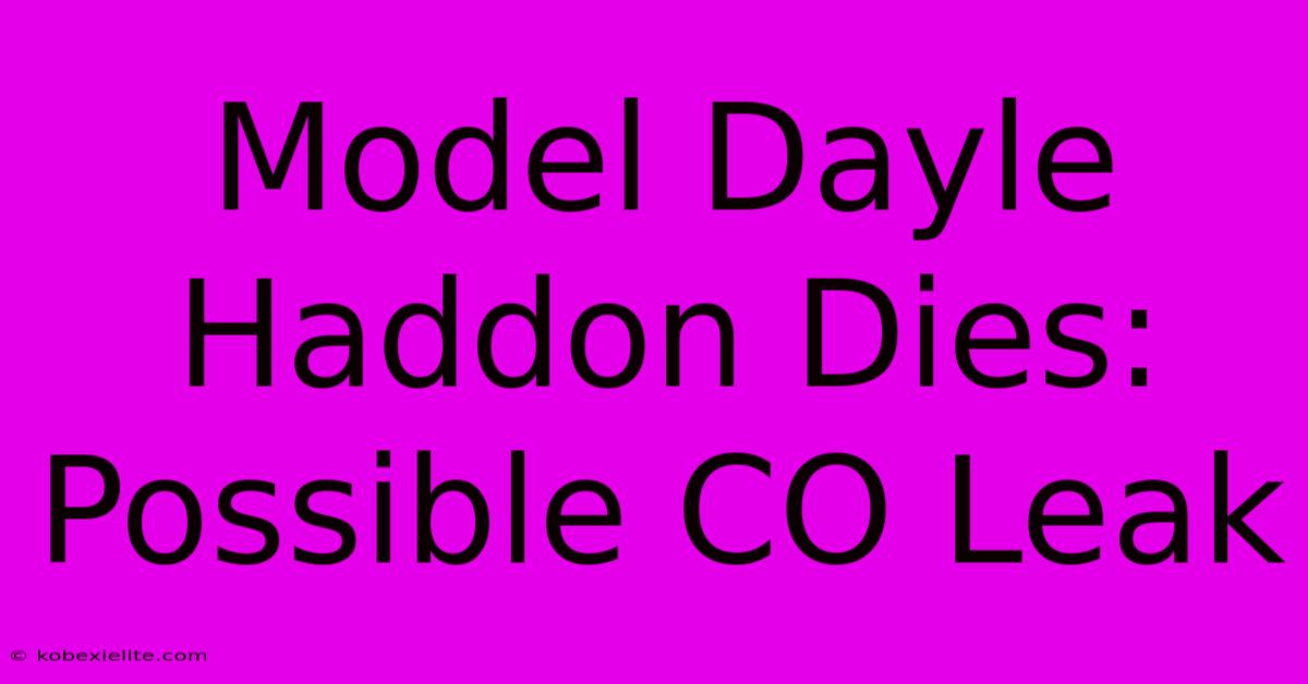 Model Dayle Haddon Dies: Possible CO Leak