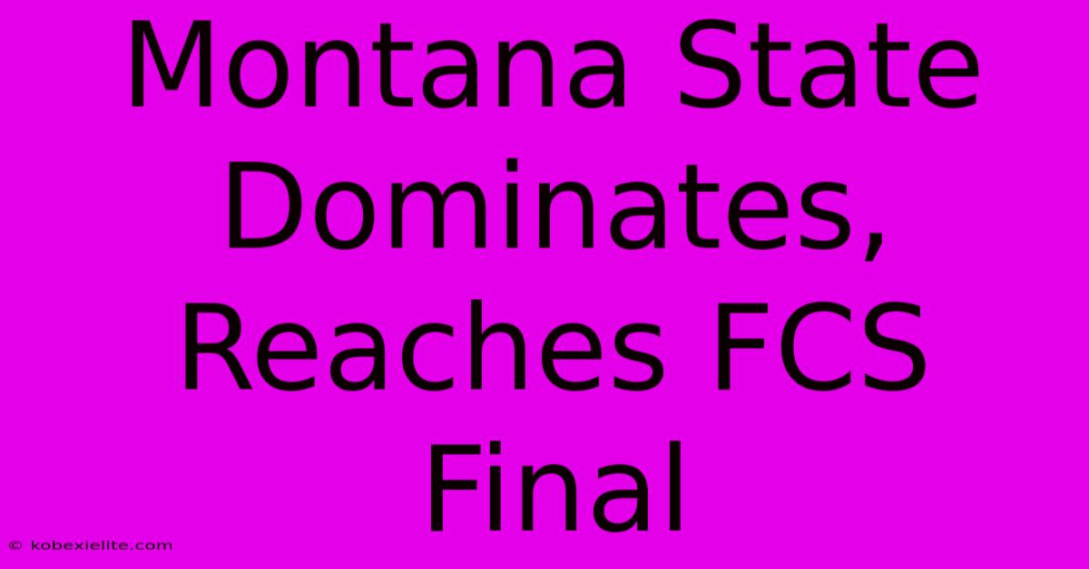 Montana State Dominates, Reaches FCS Final