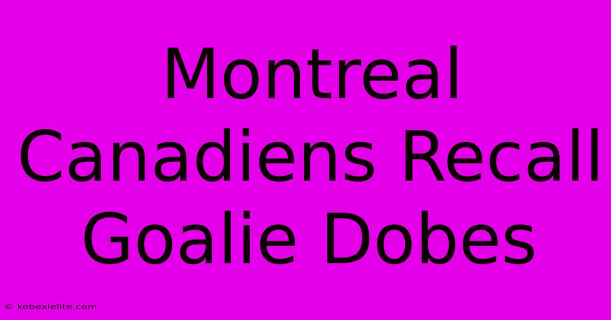 Montreal Canadiens Recall Goalie Dobes