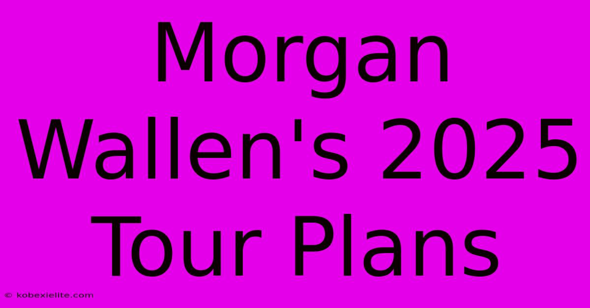 Morgan Wallen's 2025 Tour Plans