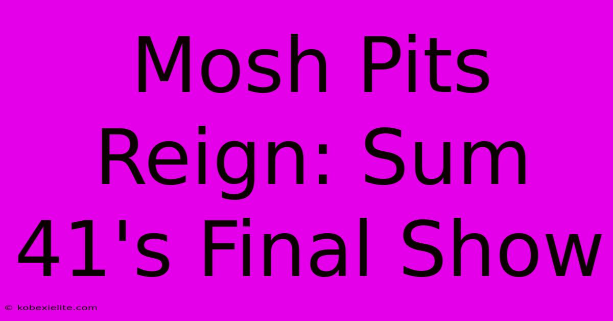 Mosh Pits Reign: Sum 41's Final Show