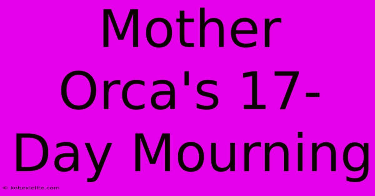 Mother Orca's 17-Day Mourning