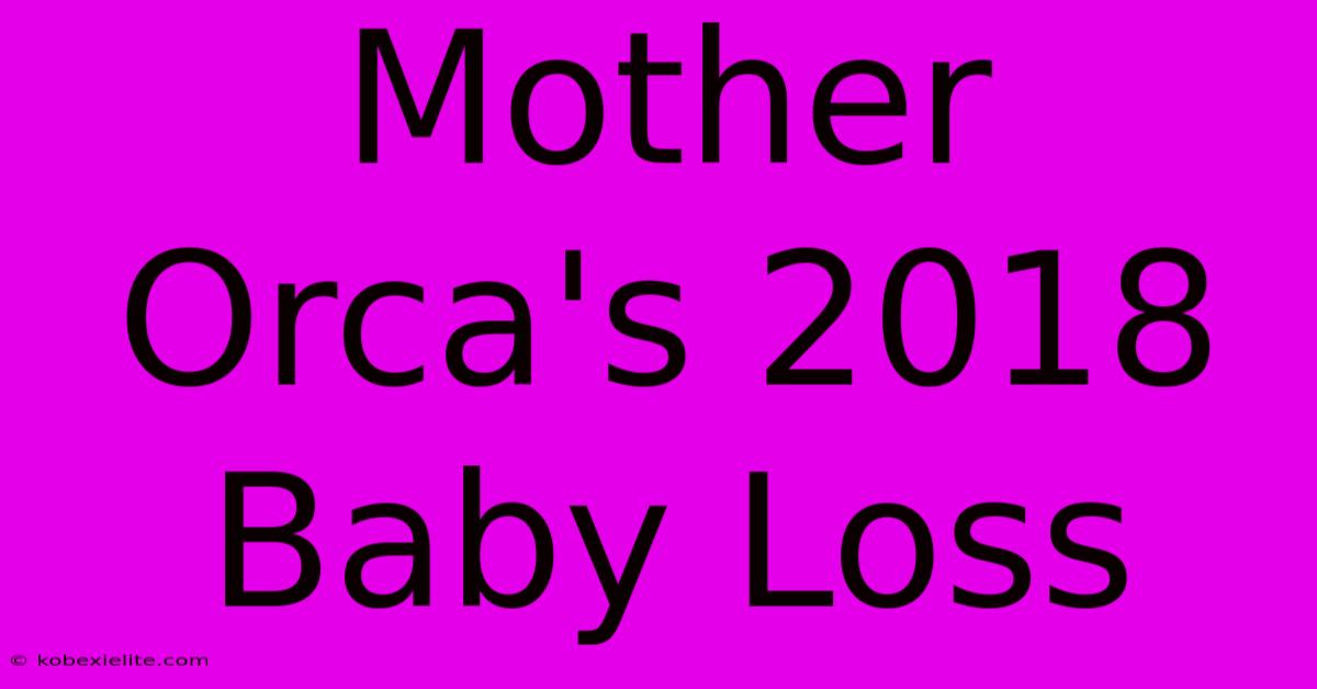 Mother Orca's 2018 Baby Loss