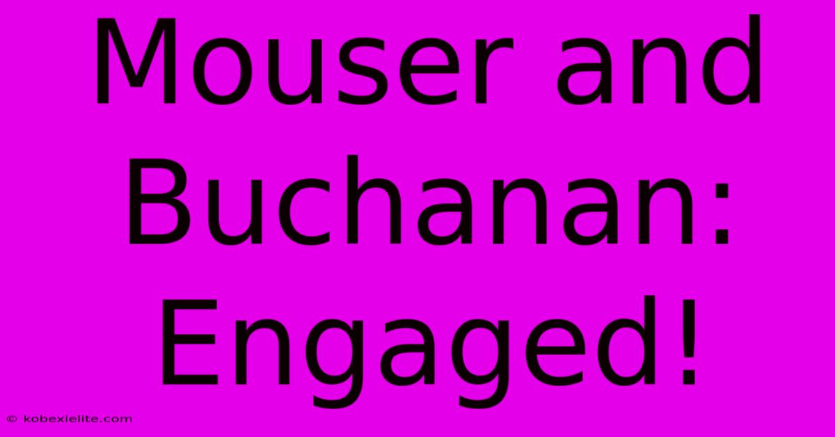 Mouser And Buchanan: Engaged!