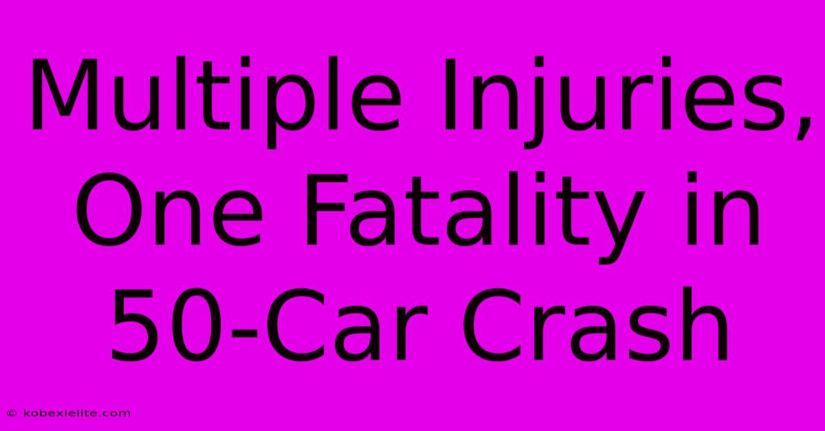 Multiple Injuries, One Fatality In 50-Car Crash