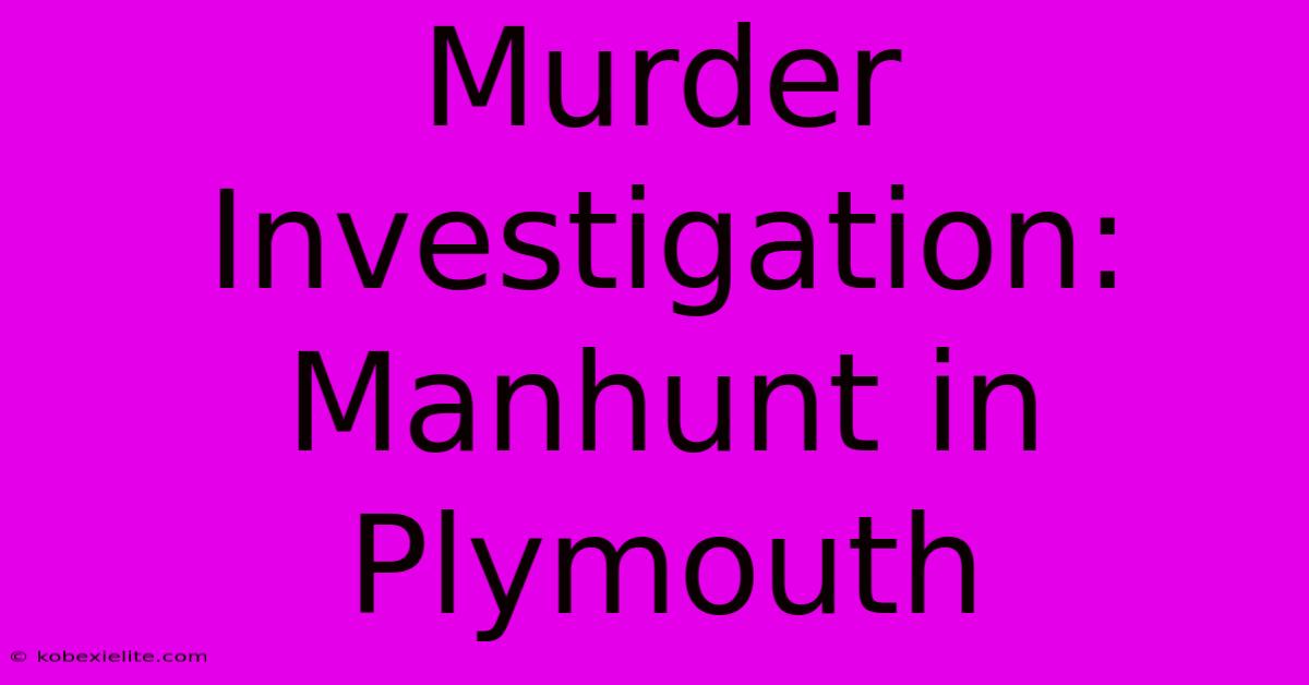 Murder Investigation: Manhunt In Plymouth