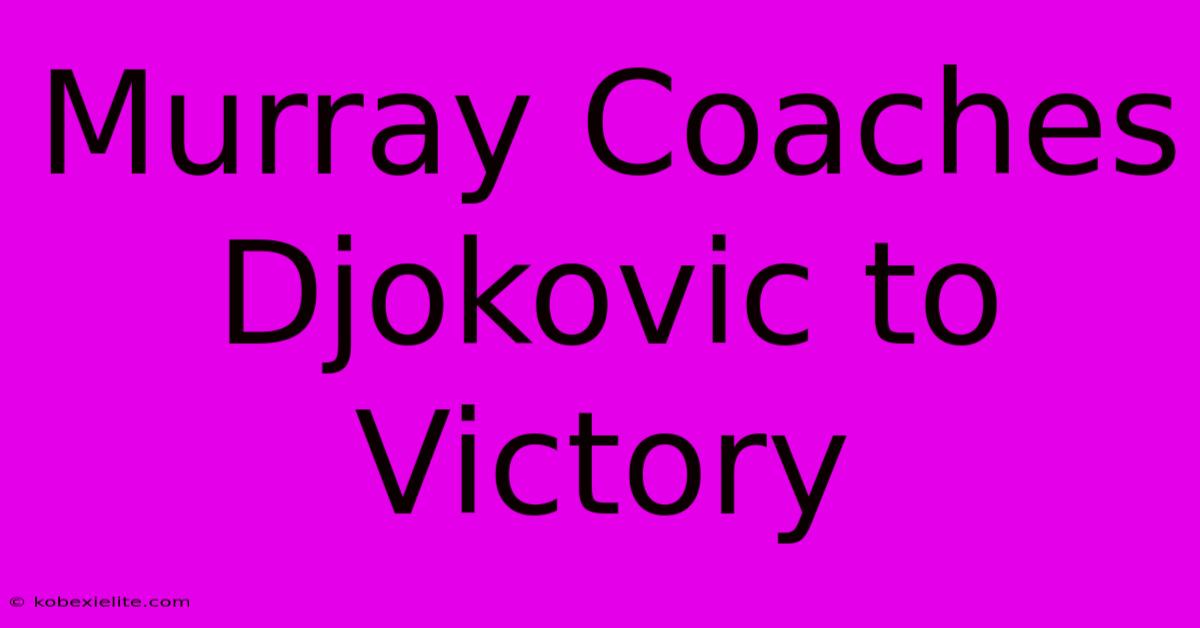 Murray Coaches Djokovic To Victory