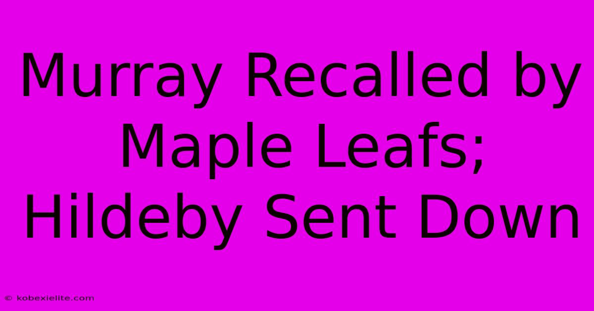 Murray Recalled By Maple Leafs; Hildeby Sent Down