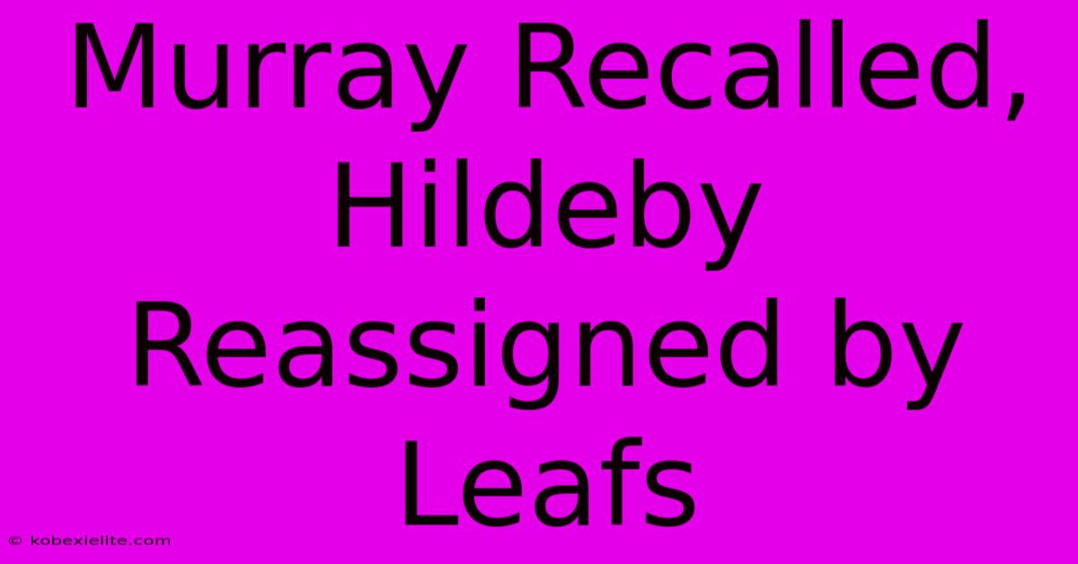 Murray Recalled, Hildeby Reassigned By Leafs