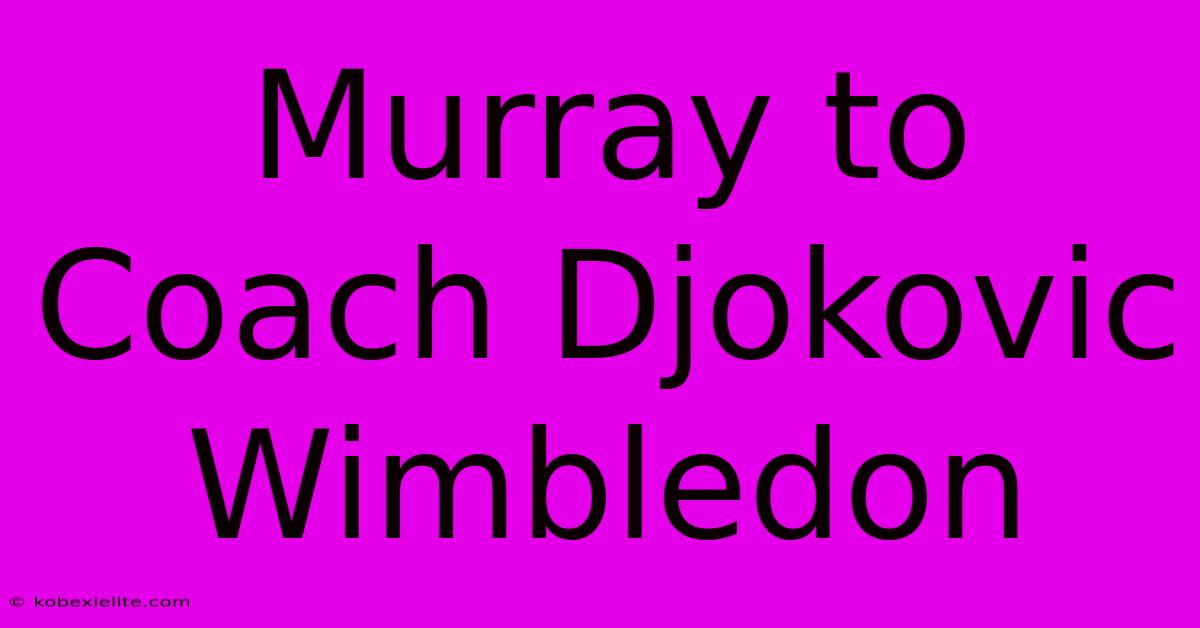 Murray To Coach Djokovic Wimbledon