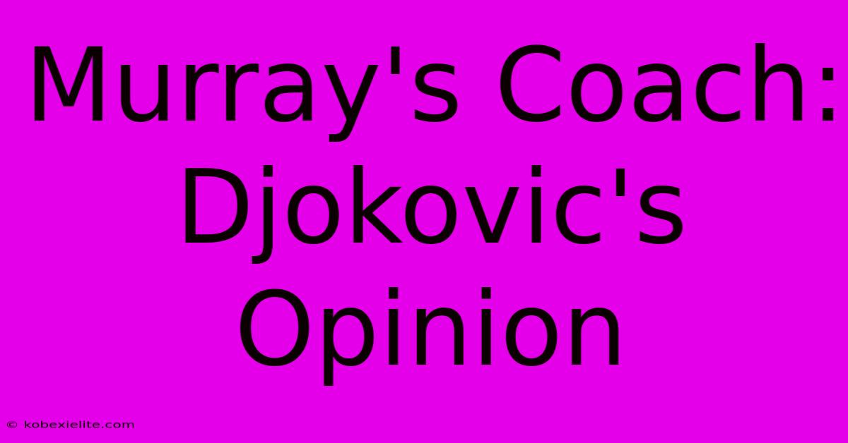 Murray's Coach: Djokovic's Opinion