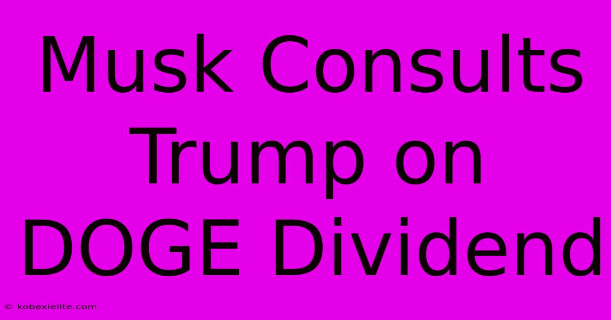 Musk Consults Trump On DOGE Dividend