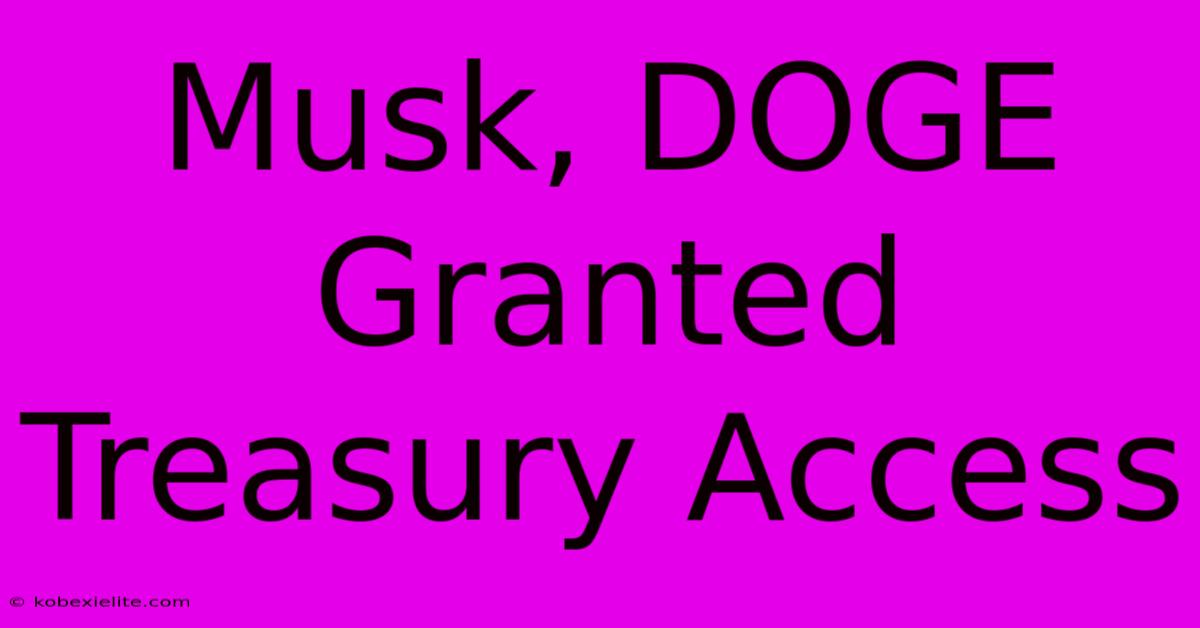 Musk, DOGE Granted Treasury Access