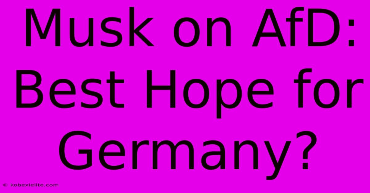 Musk On AfD: Best Hope For Germany?