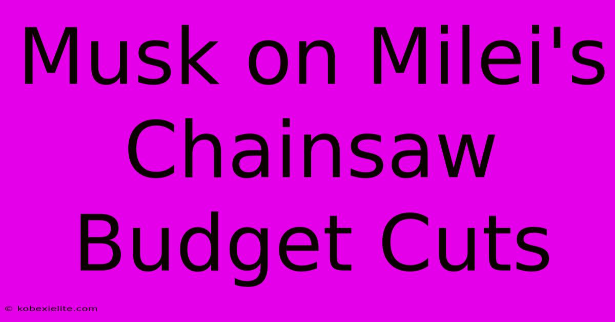 Musk On Milei's Chainsaw Budget Cuts Musk On Milei's Chainsaw Budget Cuts
