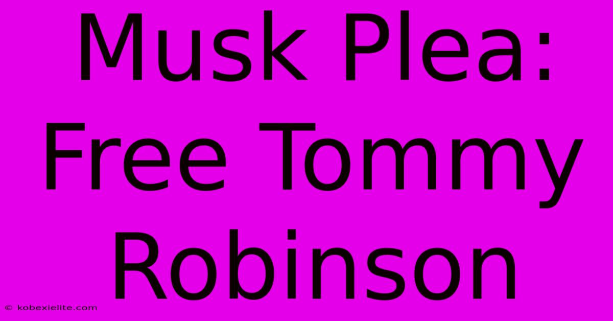 Musk Plea: Free Tommy Robinson