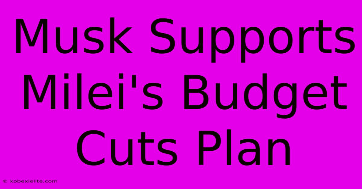 Musk Supports Milei's Budget Cuts Plan